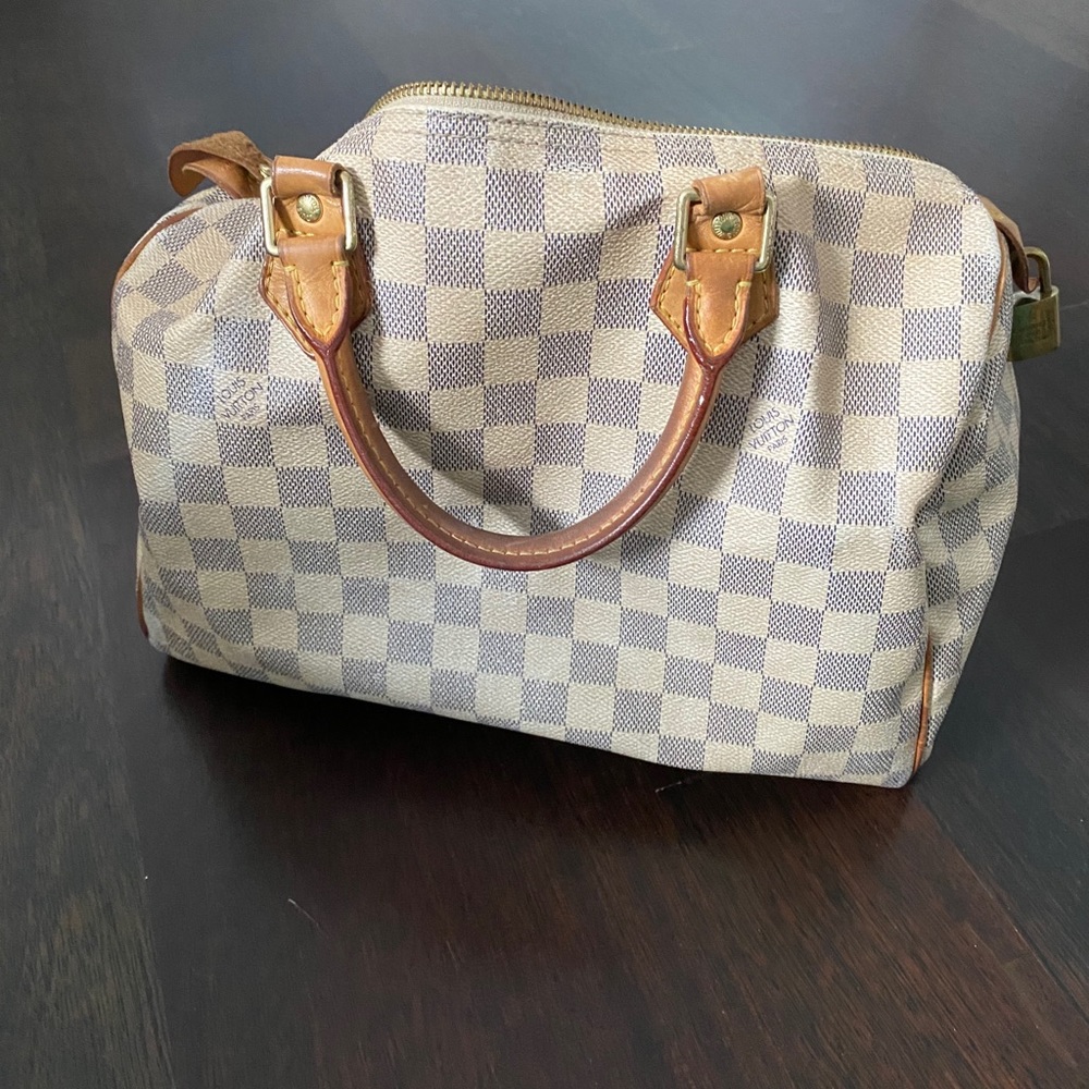 Louis Vuitton Damien Azur speedy 30